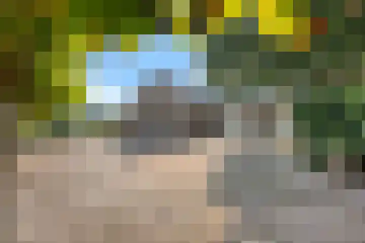 Jagerstraat 15 Taarlo thumbnail 4