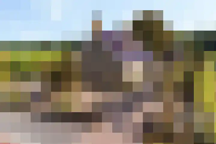 Jagerstraat 15 Taarlo thumbnail 5