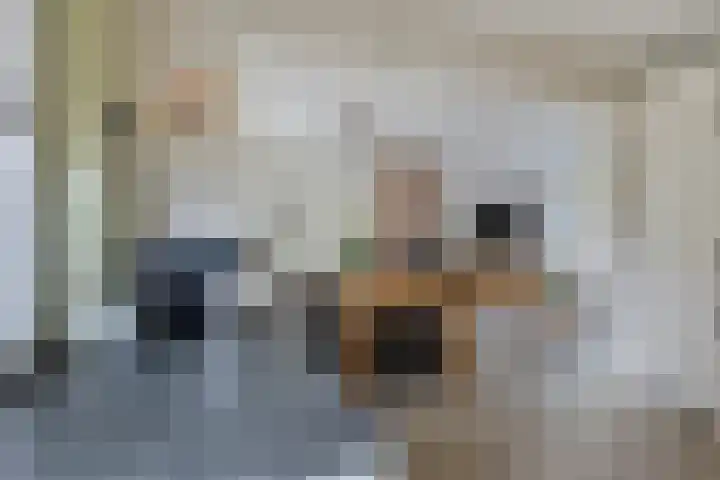 Jagerstraat 26 Herkenbosch thumbnail 16