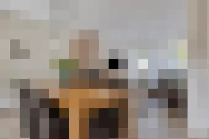 Jagerstraat 26 Herkenbosch thumbnail 17