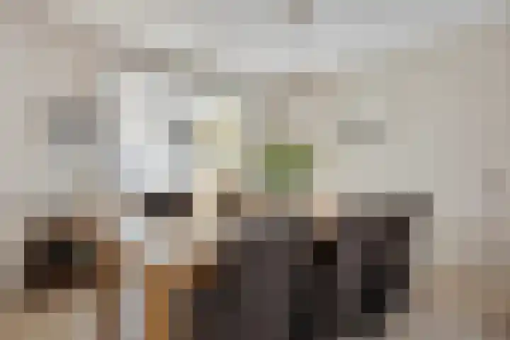 Jagerstraat 26 Herkenbosch thumbnail 18