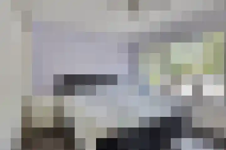 Jagerstraat 26 Herkenbosch thumbnail 27