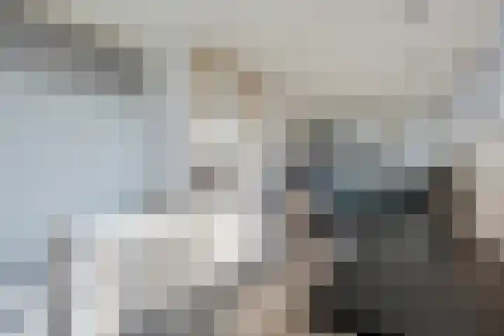 Jagerstraat 26 Herkenbosch thumbnail 31