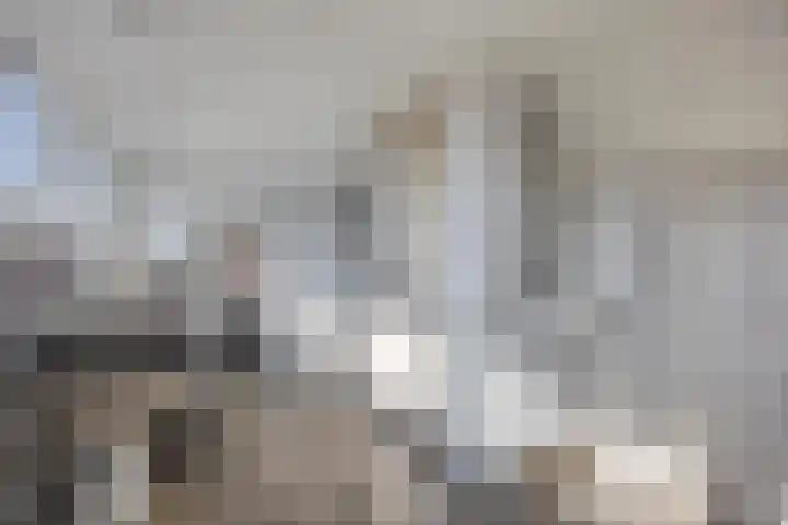 Jagerstraat 26 Herkenbosch thumbnail 32