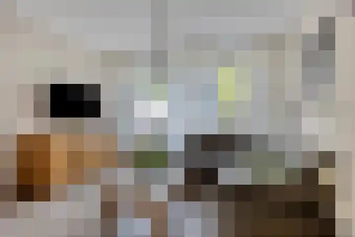 Jagerstraat 26 Herkenbosch thumbnail 7