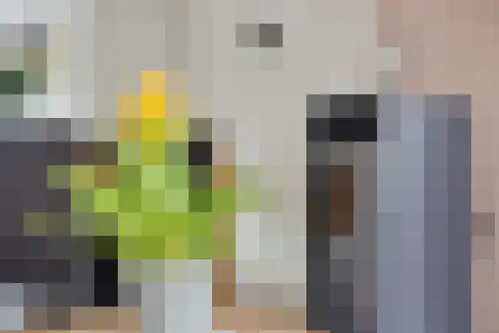 Jagerstraat 26 Herkenbosch thumbnail 8