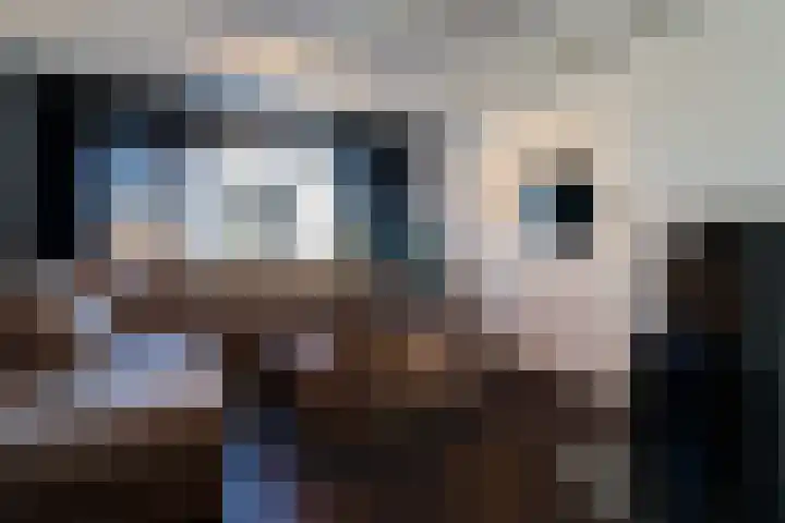 Jagerstraat 4 Herkenbosch thumbnail 4