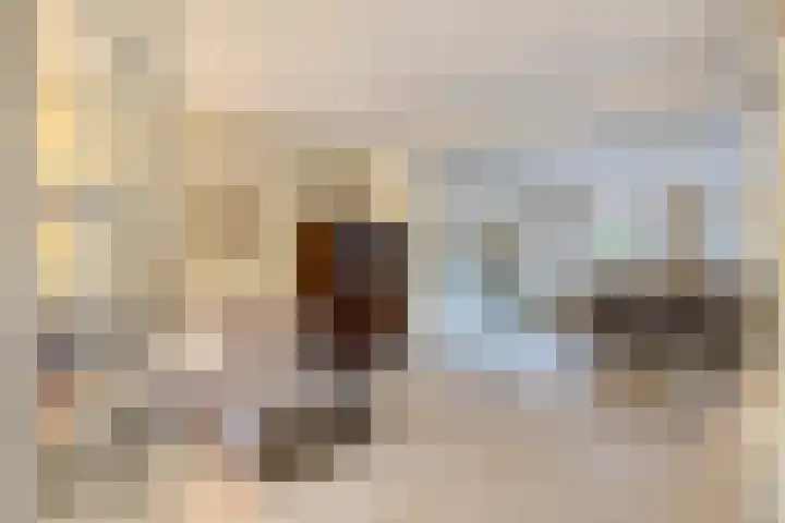 Jagerstraat 8 Delft thumbnail 5