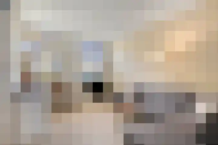 Jagerstraat 8 Delft thumbnail 8
