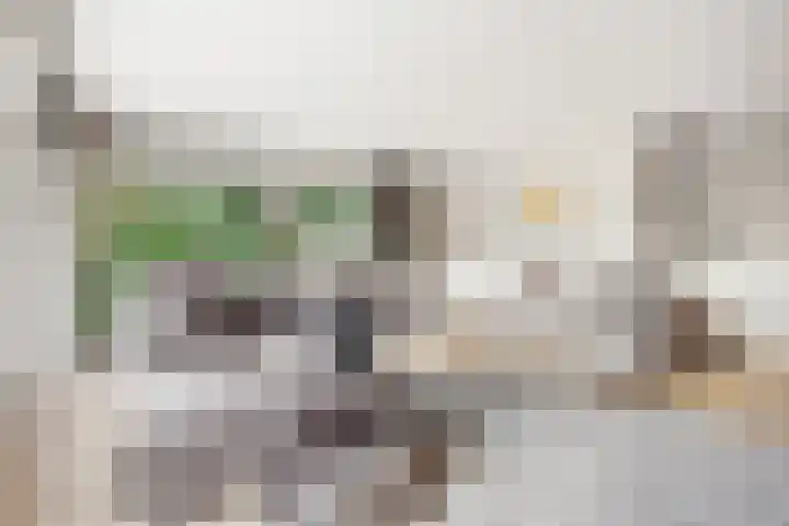 Jagersveld 26 Lelystad thumbnail 17