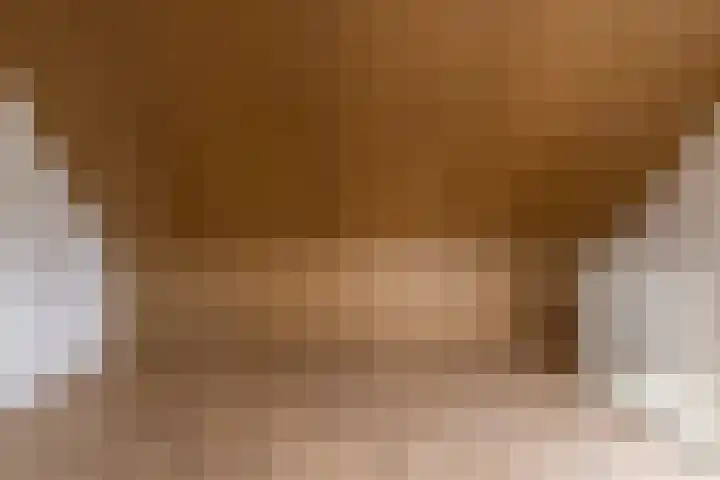 Jagersveld 26 Lelystad foto 2