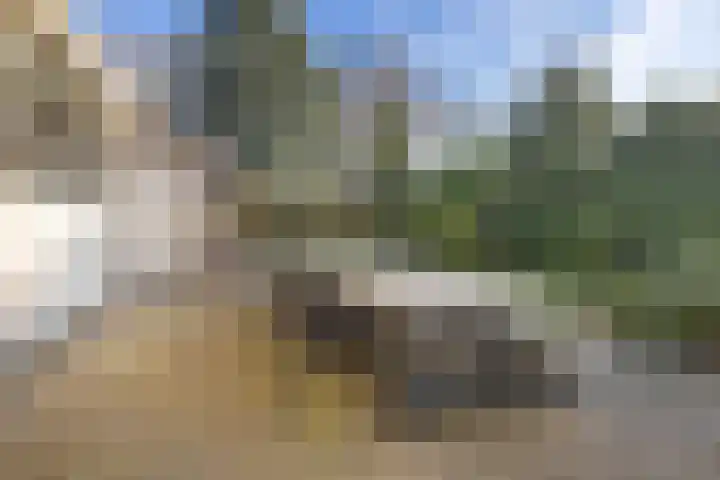 Jagersveld 26 Lelystad thumbnail 20