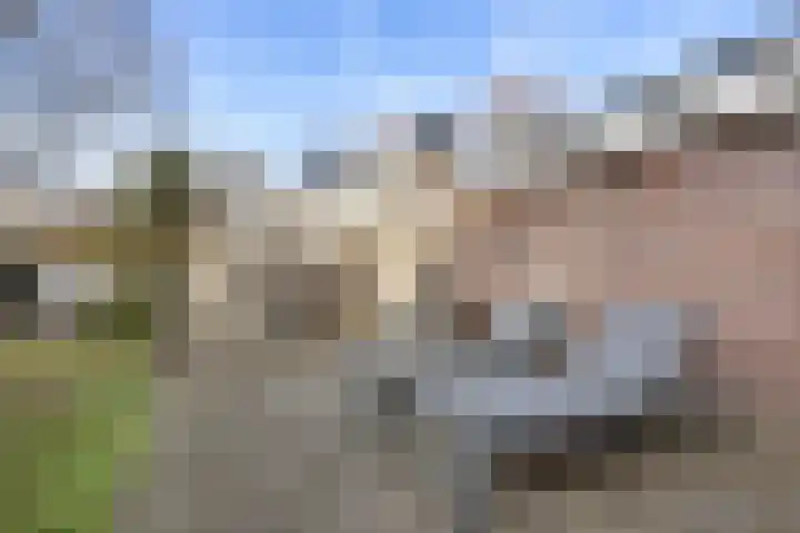 Jagersveld 26 Lelystad thumbnail 21
