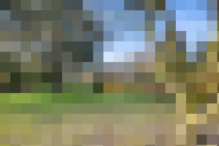 Jagersveld 26 Lelystad thumbnail 47