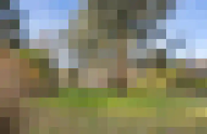 Jagersveld 26 Lelystad thumbnail 48