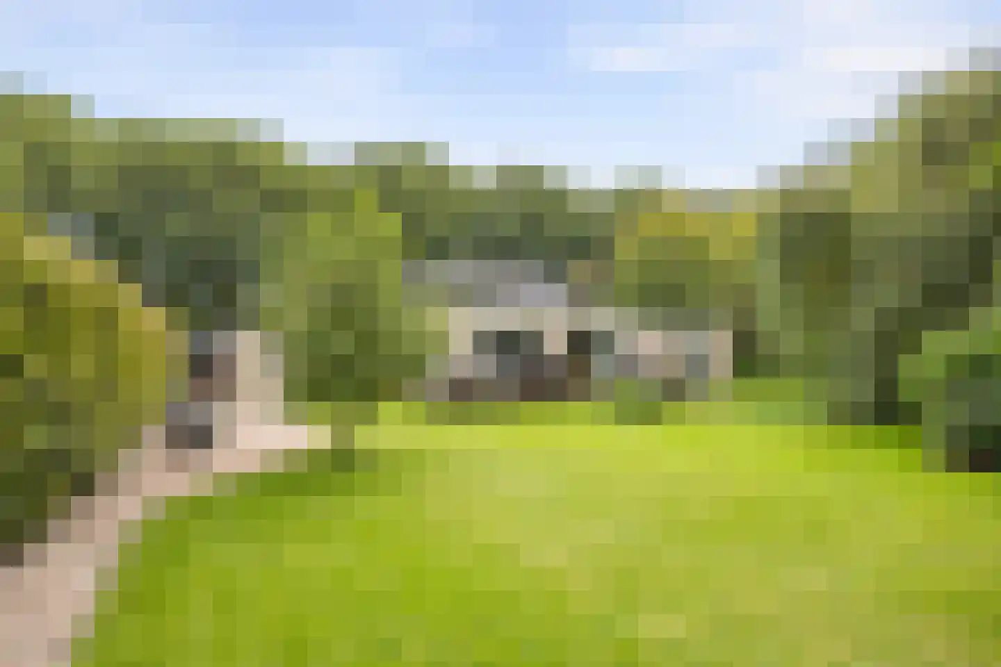 Jagersveld 32 Lelystad thumbnail 44