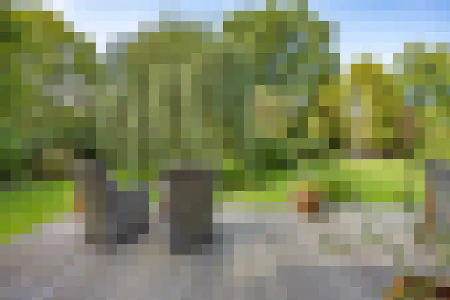 Jagersveld 32 Lelystad thumbnail 49