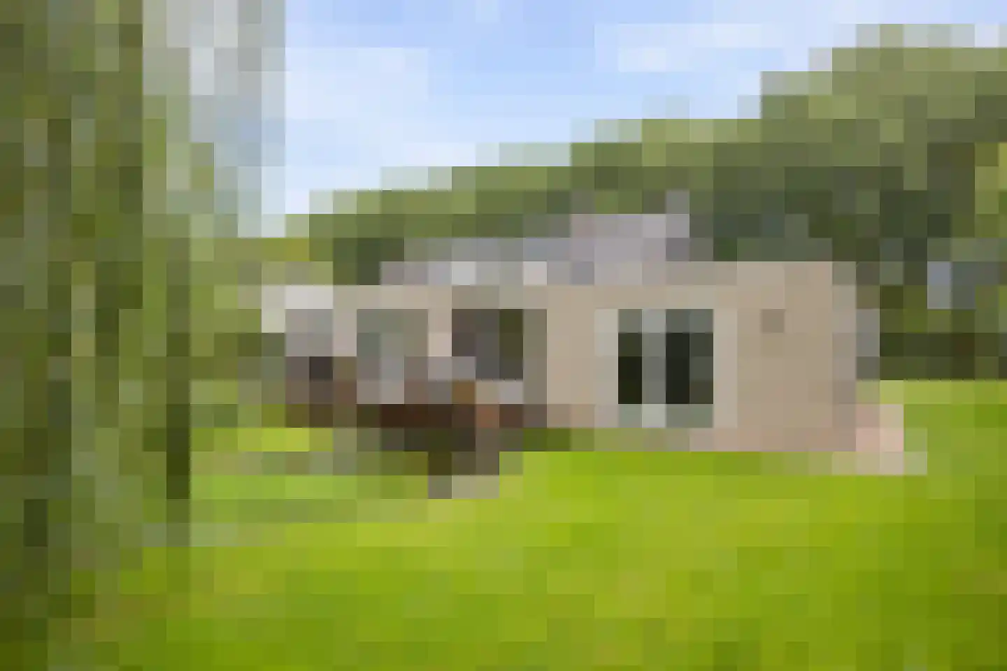 Jagersveld 32 Lelystad thumbnail 51