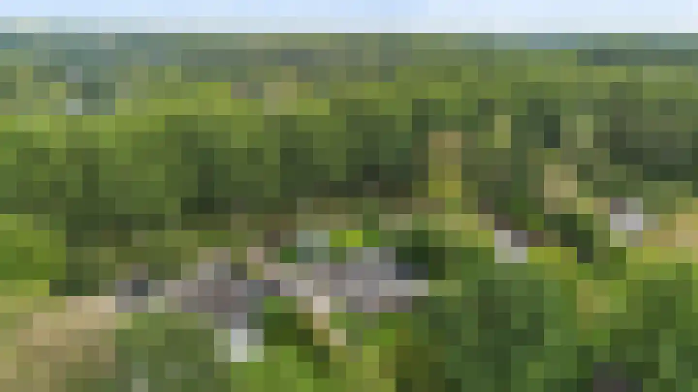 Jagersveld 32 Lelystad thumbnail 55