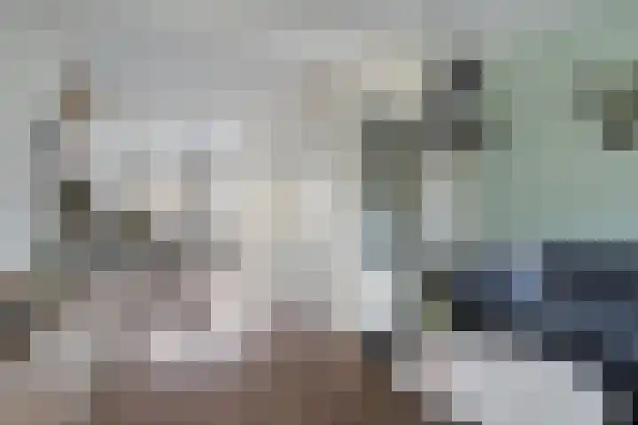 Jagersveld 53 Dongen thumbnail 11