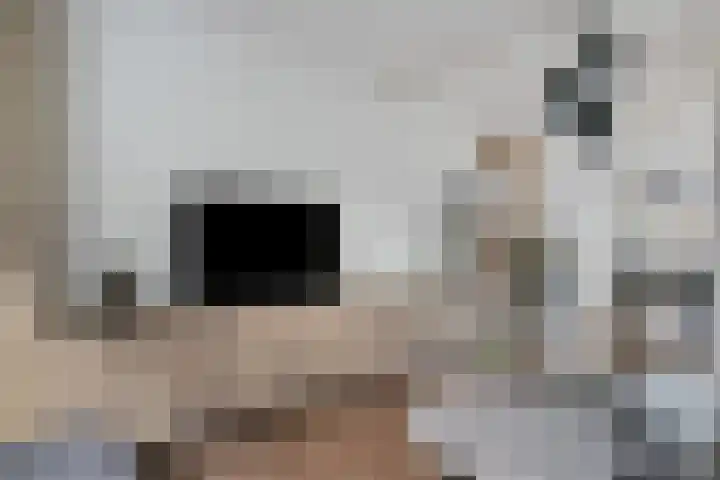 Jagersveld 53 Dongen thumbnail 12