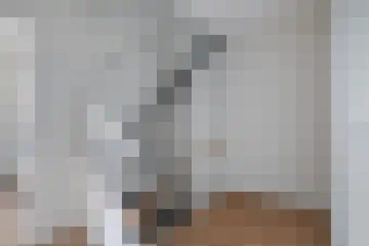 Jagersveld 53 Dongen thumbnail 20