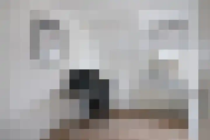 Jagersveld 53 Dongen thumbnail 23