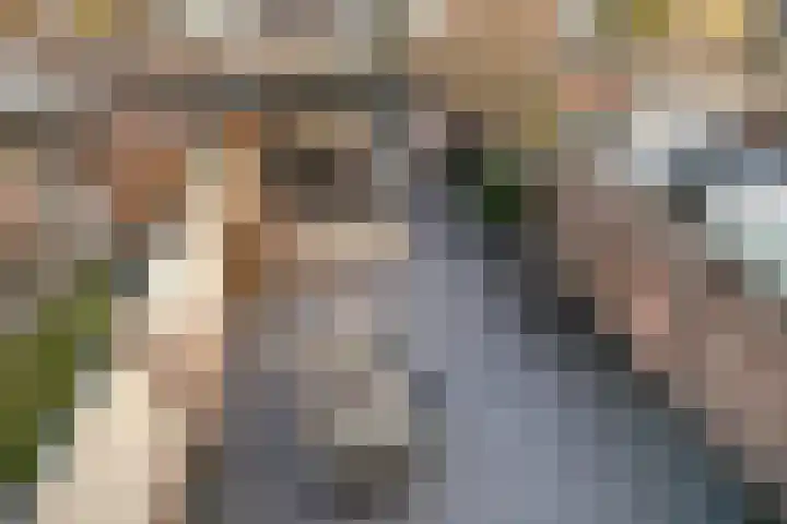 Jagersveld 53 Dongen thumbnail 37