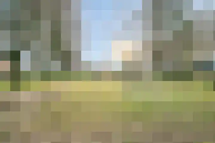 Jagersveld 53 Dongen thumbnail 40