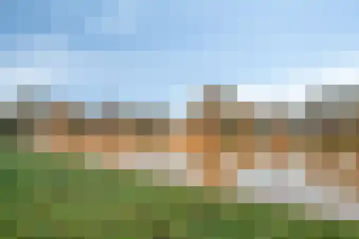 Jagersveld 53 Dongen thumbnail 41