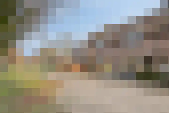 Jagersveld 53 Dongen thumbnail 8