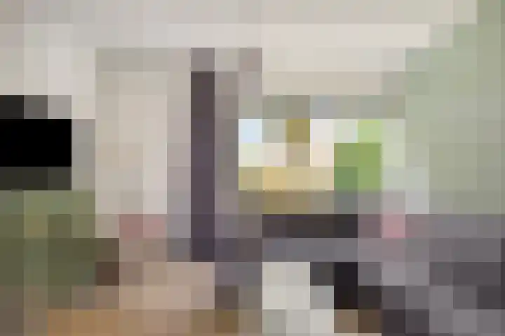 Jagersveld 63 Dongen thumbnail 10