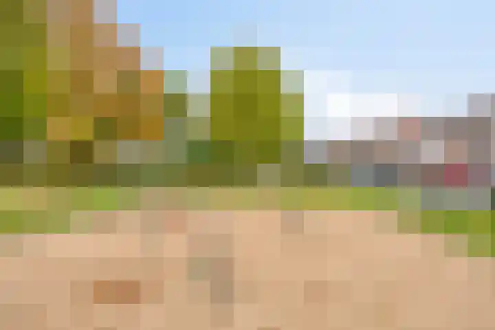 Jagersveld 63 Dongen thumbnail 27
