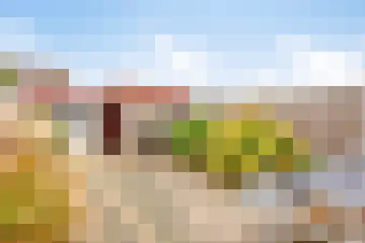 Jagersveld 63 Dongen thumbnail 28