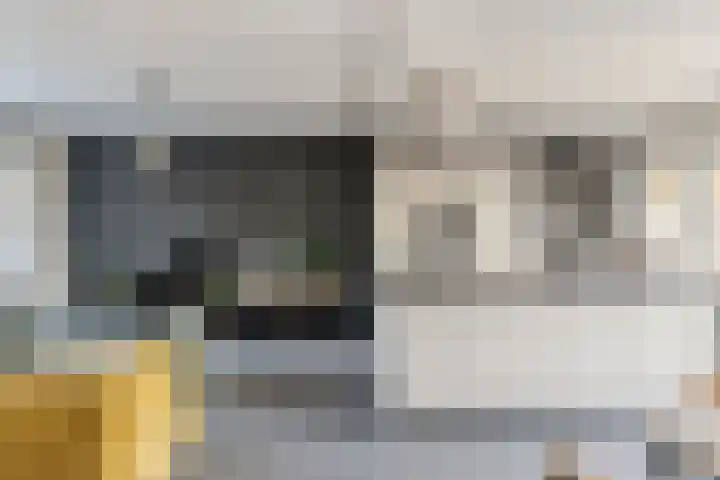 Jagersveld 9 Dongen thumbnail 10