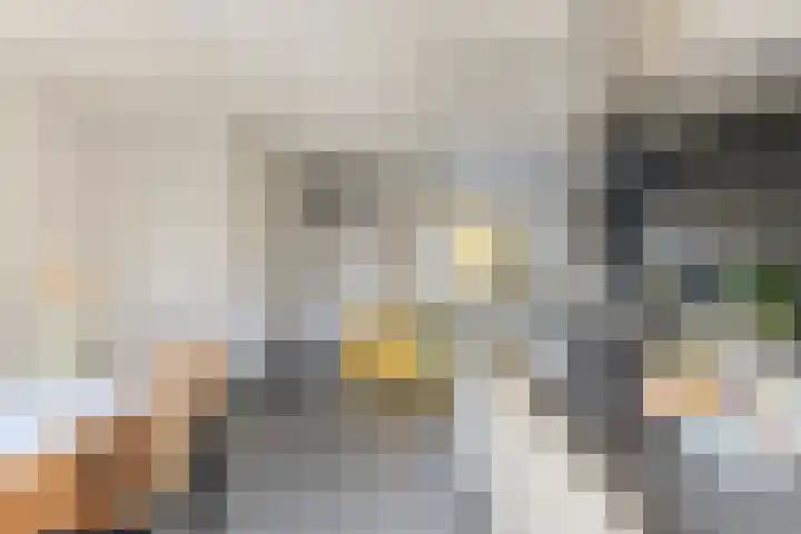 Jagersveld 9 Dongen thumbnail 12