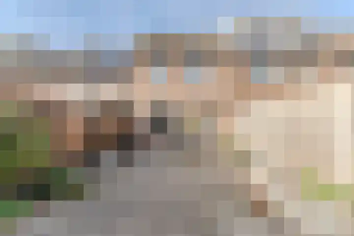 Jagersveld 9 Dongen thumbnail 16