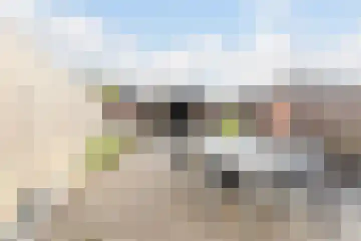 Jagersveld 9 Dongen thumbnail 17