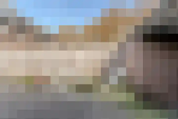 Jagersveld 9 Dongen thumbnail 20