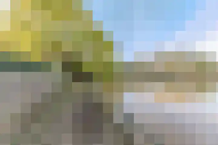 Jagersveld 9 Dongen thumbnail 34