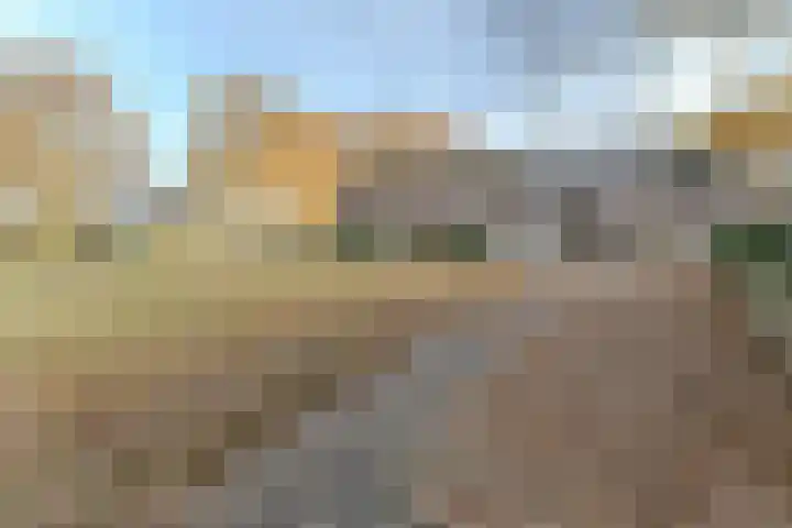 Jagersveld 9 Dongen thumbnail 35