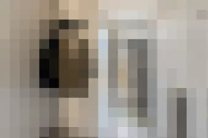 Jagersveld 9 Dongen thumbnail 6