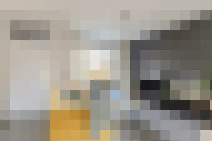 Jagersveld 9 Dongen thumbnail 9