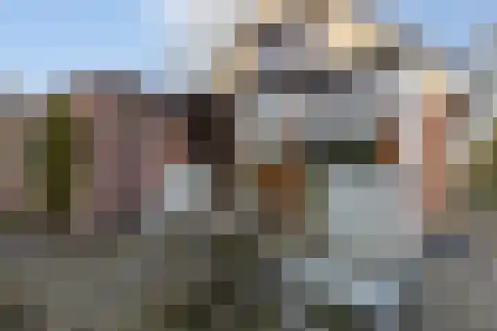 Jagersweg 1 Bergen op Zoom thumbnail 10