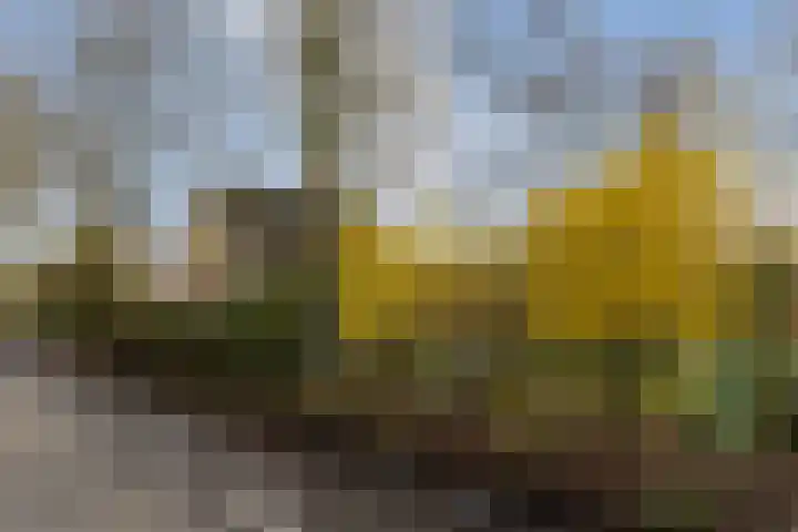 Jagersweg 1 Bergen op Zoom thumbnail 11