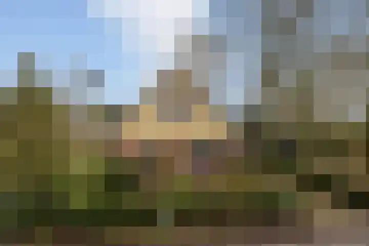 Jagersweg 1 Bergen op Zoom thumbnail 12