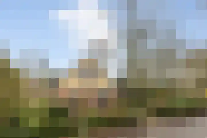 Jagersweg 1 Bergen op Zoom thumbnail 13