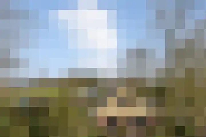 Jagersweg 1 Bergen op Zoom thumbnail 14