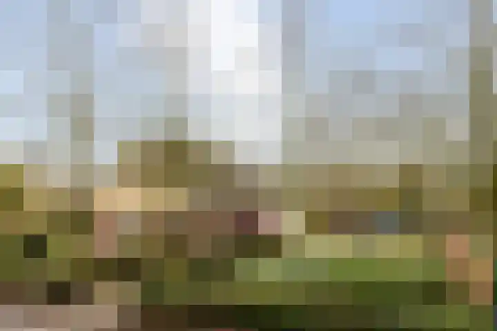 Jagersweg 1 Bergen op Zoom thumbnail 15