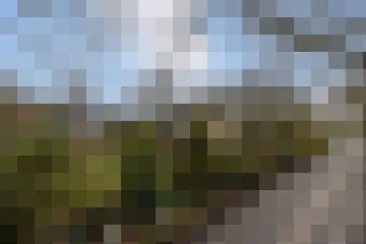 Jagersweg 1 Bergen op Zoom thumbnail 17